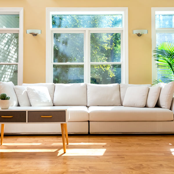 couch in front of windows